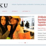 Pilkku